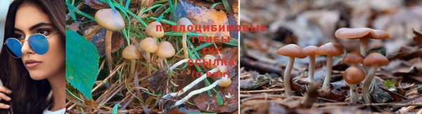 марки nbome Арсеньев