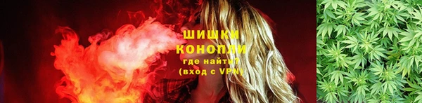 дживик Аркадак