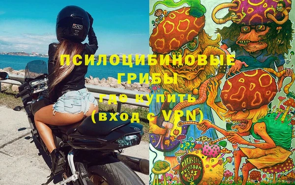 дживик Аркадак