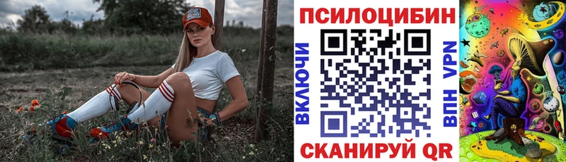 Галлюциногенные грибы мухоморы  Бабушкин 