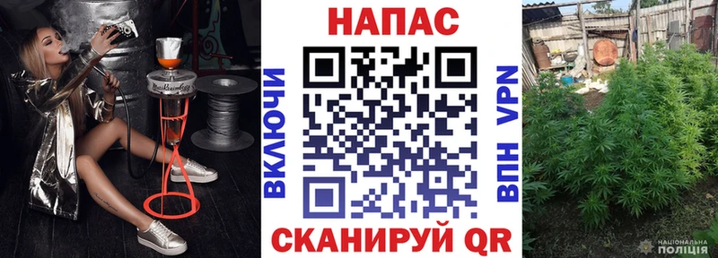 omg ссылки  Бабушкин  Конопля THC 21%  купить наркотик 